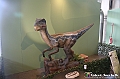 VBS_1059 - Dinosauri. Terra dei giganti